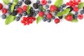 wild berries and mint leaves on a white background top view. Royalty Free Stock Photo