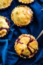 Wild berries pies Royalty Free Stock Photo