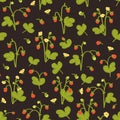 Wild berries seamless pattern on dark background. Strawberries with hand-drawn style. Vector illustration