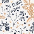 Wild berries seamless pattern in engraved style. Hand drawn forest berries - cranberry,  lingonberry, blueberry, bilberry seamless Royalty Free Stock Photo