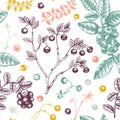 Wild berries seamless pattern in engraved style. Hand drawn forest berries - cranberry,  lingonberry, blueberry, bilberry seamless Royalty Free Stock Photo