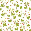 Wild berries seamless pattern on white background. Strawberries with hand drawn style. Vector illustration