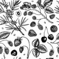 Wild berries sketches seamless pattern. Hand drawn berry vintage vector background. Summer fruit backdrop - strawberry, cranberry Royalty Free Stock Photo