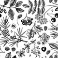 Wild berries sketches seamless pattern. Hand drawn berry vintage vector background. Summer fruit backdrop - strawberry, cranberry Royalty Free Stock Photo