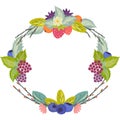 Wild berries wreath