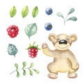 Wild berry collection set isolated on white background. Watercolor bear. Royalty Free Stock Photo