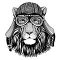 Lion wild biker animal wearing motorcycle helmet. Hand drawn image for tattoo, emblem, badge, logo, patch, t-shirt.