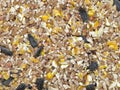 Wild bird food mix. Viewed from above. Royalty Free Stock Photo