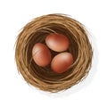 Wild bird nest from straw and twigs with chicken eggs