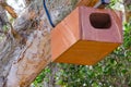 Wild Bird Nesting wooden Box on the big tree. Royalty Free Stock Photo