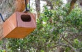 Wild bird nesting wooden box on the big tree. Royalty Free Stock Photo