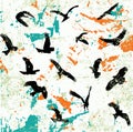 Wild bird silhouettes abstract raster design