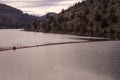 Wild birds on a lake. Natural background Royalty Free Stock Photo