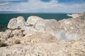 Wild birds sitting on nests built on white cliff