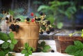 Wild Blackberries in Vintage Basket Royalty Free Stock Photo