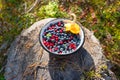 Wild blueberries and lingonberries with chanterelle mushroom in bowl on stump in forest