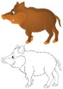 Wild boar