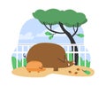 Wild boar with baby under the oak tree, cartoon wild life animals behind the fence in zoo park or reserve flat vector Royalty Free Stock Photo