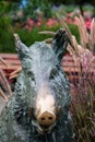 Wild boar bronze statue, Butchart Gardens, Victoria, Canada Royalty Free Stock Photo