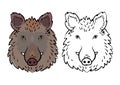 Wild boar head drawing set