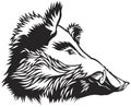 Wild boar head engraver scratchboard style vector