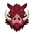 Wild Boar Head. Pig. Boars Head Logo.