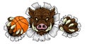 Boar Wild Hog Razorback Warthog Basketball Mascot