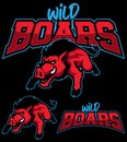 Wild Boars Team Mascot Royalty Free Stock Photo