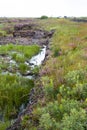 Wild bogland landscape Royalty Free Stock Photo