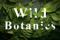 Wild botanics concept of wild green jungle foliage.