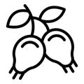 Wild briar fruit icon outline vector. Enriched vitamin seed