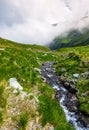 Wild brook of Fagaras mountains