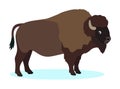 Wild brown bison, buffalo icon, isolated on white background