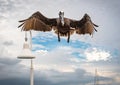 Brown Pelican on fishing pier in Bradenton Florida. Royalty Free Stock Photo