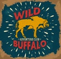 Wild Buffalo vector vintage emblem design Royalty Free Stock Photo