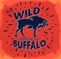 Wild Buffalo vector vintage emblem design Royalty Free Stock Photo