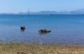 Wild buffaloes escape from the heat in the lake in Udawalawe National Park