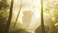 Wild bull elephant in the jungle with deep fog