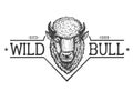 Wild bull logo