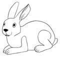 wild bunny white background black lines