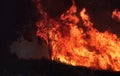 Wild bushfire burning out of control Royalty Free Stock Photo