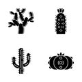 Wild cacti glyph icons set