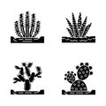 Wild cacti in ground glyph icons set