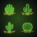 Wild cacti in ground neon light icons set