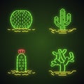 Wild cacti in land neon light icons set