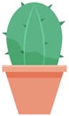 Wild cactus green color plant in clay pot. Desert flora grower with prickly needles, houseplant Royalty Free Stock Photo