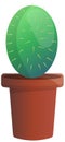 Wild cactus green color plant in clay pot. Desert flora grower with prickly needles. Succulent oval Royalty Free Stock Photo