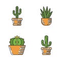 Wild cactus in pot color icons set