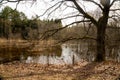 wild but calm forest river that flooded part of the forest after the snow melted in early spring Royalty Free Stock Photo