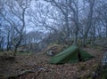 Wild camping in haunted woods